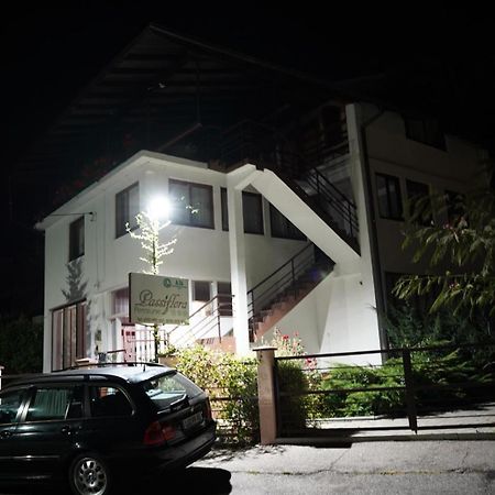 Passiflora Hotel Voineasa Eksteriør billede