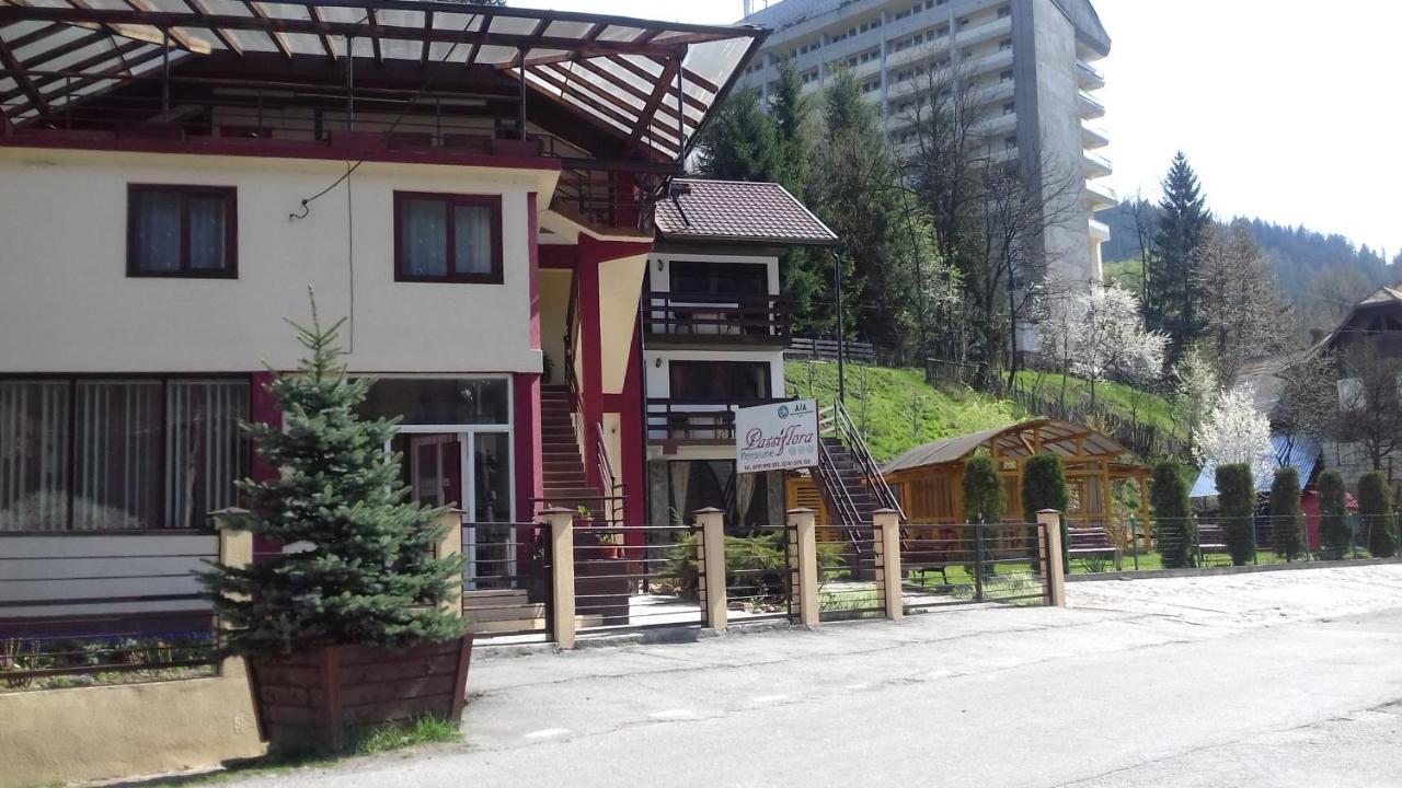 Passiflora Hotel Voineasa Eksteriør billede